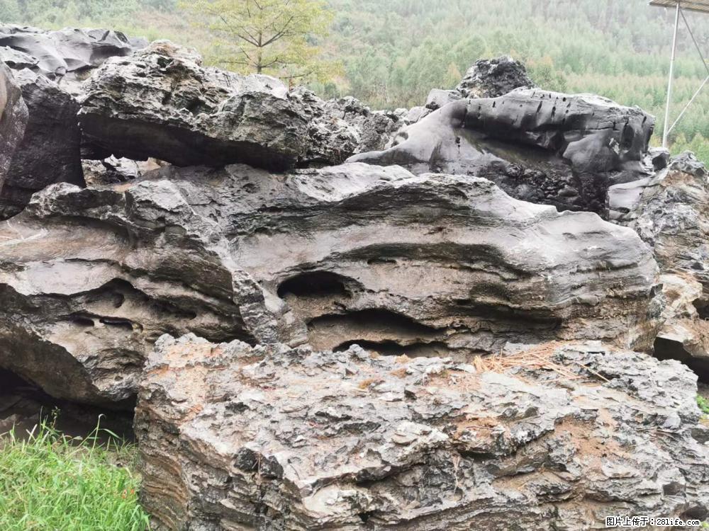 风景石、假山石大量有货，有需要的欢迎联系 - 新手上路 - 白银生活社区 - 白银28生活网 by.28life.net