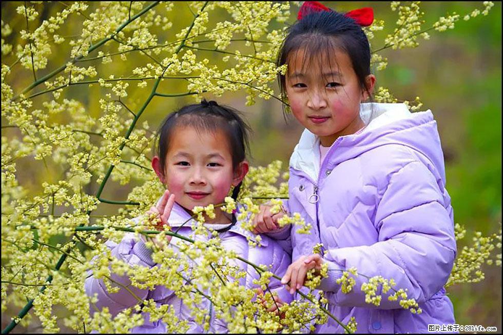 【春天，广西桂林灌阳县向您发出邀请！】米珠山前有片山苍子花在飘香 - 游山玩水 - 白银生活社区 - 白银28生活网 by.28life.net