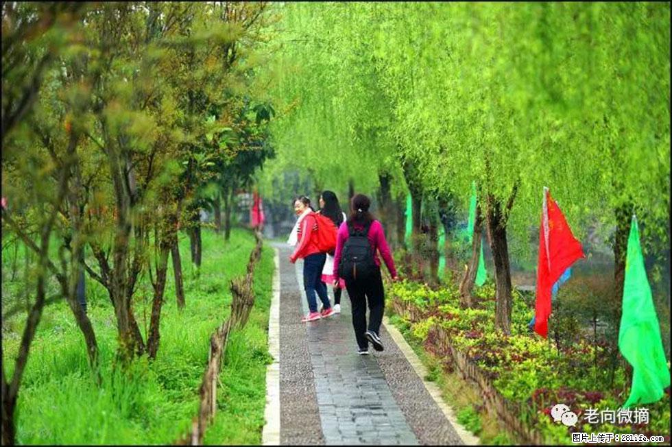 【春天，广西桂林灌阳县向您发出邀请！】江口老街又逢春 - 游山玩水 - 白银生活社区 - 白银28生活网 by.28life.net