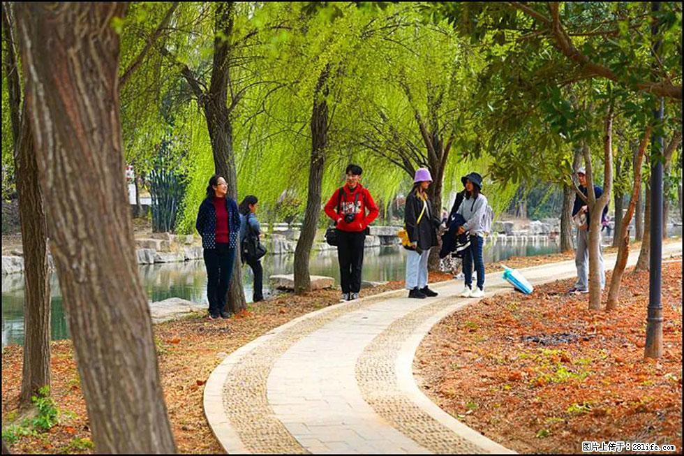 【春天，广西桂林灌阳县向您发出邀请！】江口老街又逢春 - 游山玩水 - 白银生活社区 - 白银28生活网 by.28life.net