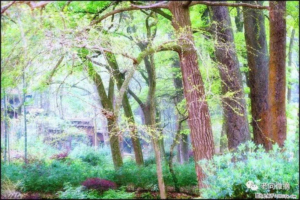 【春天，广西桂林灌阳县向您发出邀请！】在小龙村与春天约会 - 游山玩水 - 白银生活社区 - 白银28生活网 by.28life.net