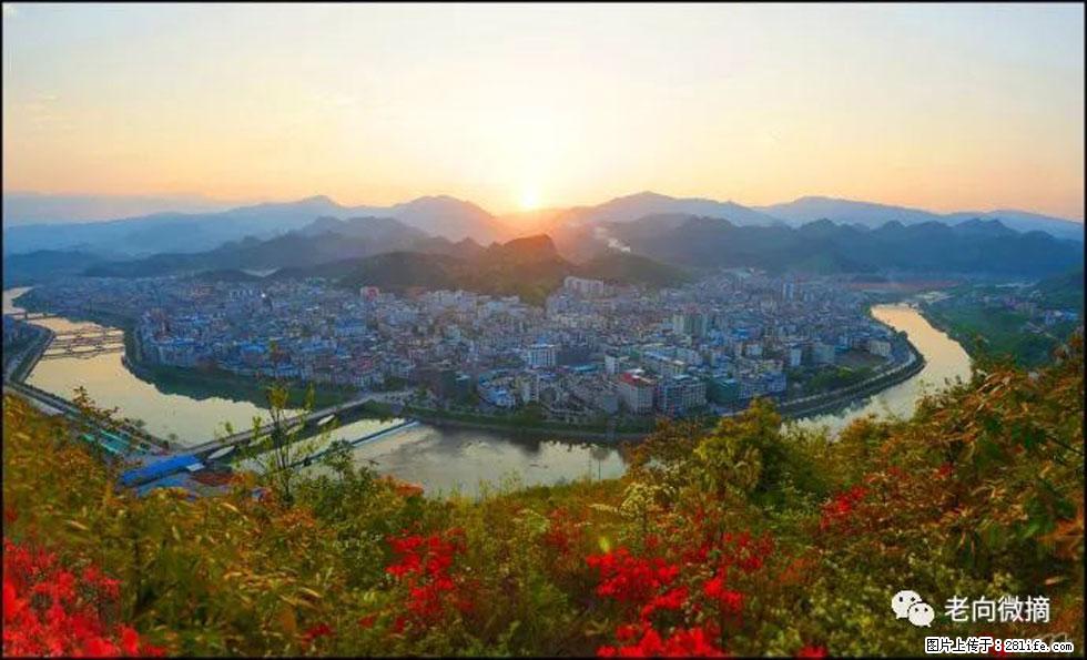 【春天，广西桂林灌阳县向您发出邀请！】登麒麟山，相约映山红 - 游山玩水 - 白银生活社区 - 白银28生活网 by.28life.net