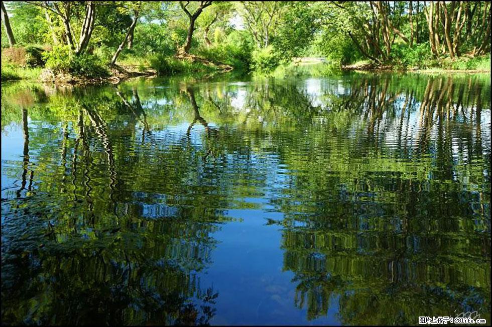 【春天，广西桂林灌阳县向您发出邀请！】熊家寨湿地公园 - 游山玩水 - 白银生活社区 - 白银28生活网 by.28life.net