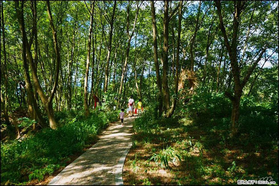 【春天，广西桂林灌阳县向您发出邀请！】熊家寨湿地公园 - 游山玩水 - 白银生活社区 - 白银28生活网 by.28life.net