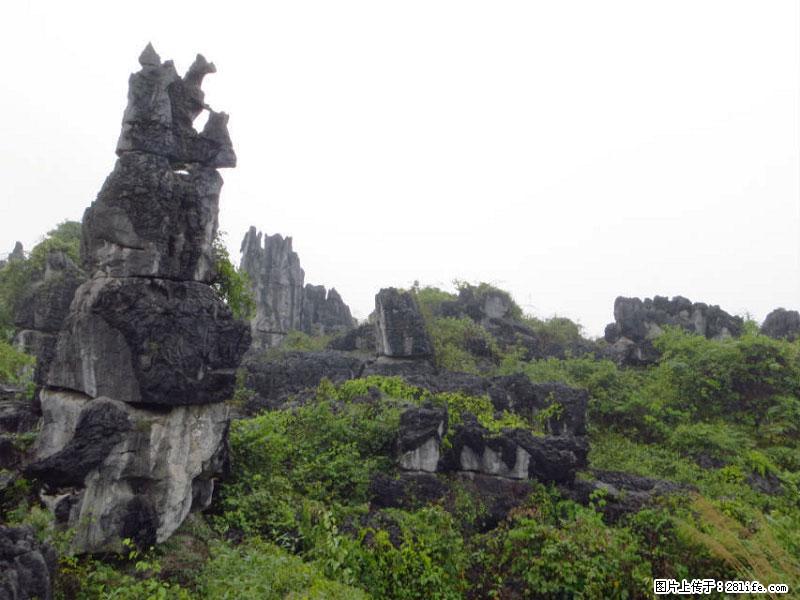 桂林旅游名城景点:灌阳文市石林 - 游山玩水 - 白银生活社区 - 白银28生活网 by.28life.net