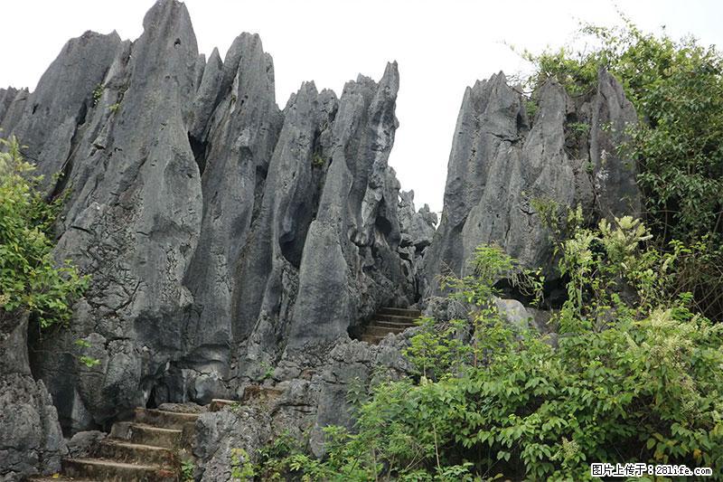 桂林旅游名城景点:灌阳文市石林 - 游山玩水 - 白银生活社区 - 白银28生活网 by.28life.net