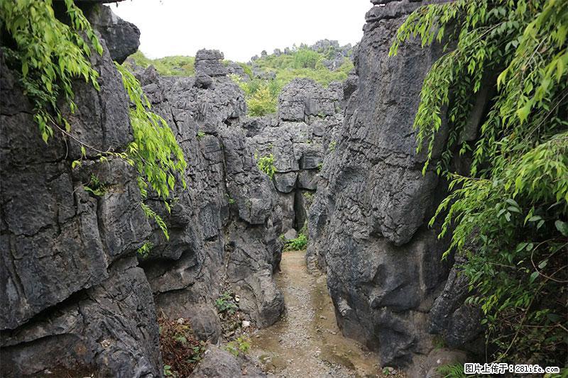 桂林旅游名城景点:灌阳文市石林 - 游山玩水 - 白银生活社区 - 白银28生活网 by.28life.net