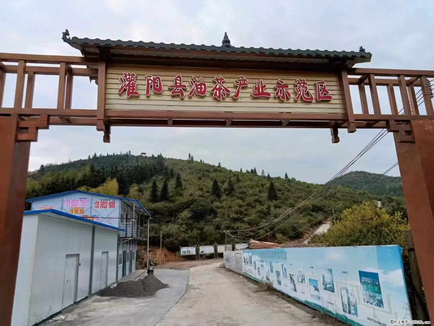 【灌阳县油茶产业示范区】一个有着充实的精神生活的人，对待身外之物自会有一种淡泊的态度 - 美食天地 - 白银生活社区 - 白银28生活网 by.28life.net
