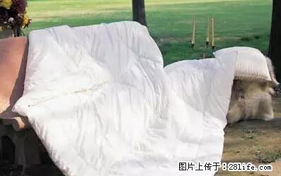 被子有异味？只要这样做，比晒太阳还强100倍！ - 家居生活 - 白银生活社区 - 白银28生活网 by.28life.net
