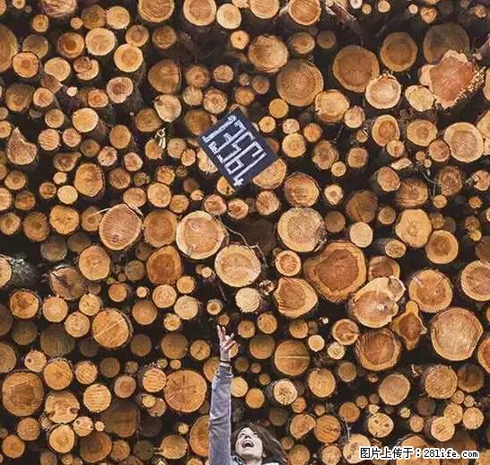 辞掉工作周游世界？现在他们在洗厕所…… - 游山玩水 - 白银生活社区 - 白银28生活网 by.28life.net