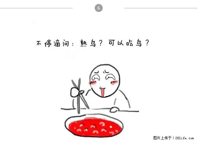 千万不要和这9种哈卵一起吃火锅！ - 美食天地 - 白银生活社区 - 白银28生活网 by.28life.net