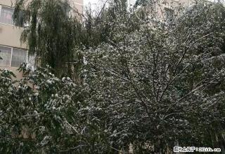 银光忠字门菜市场附近 平方出租 可当库房 - 白银28生活网 by.28life.net