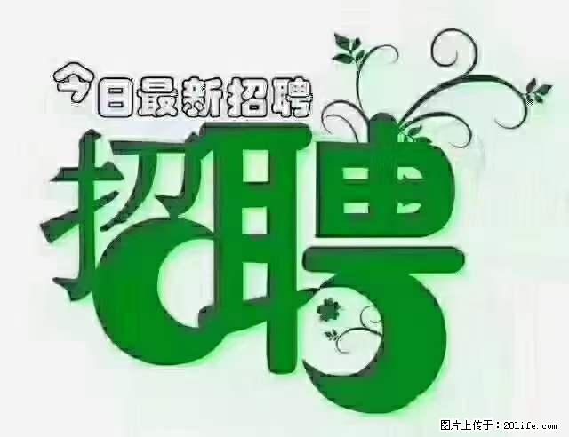 上海隔离酒店招人：55岁以下 男女不限 - 职场交流 - 白银生活社区 - 白银28生活网 by.28life.net