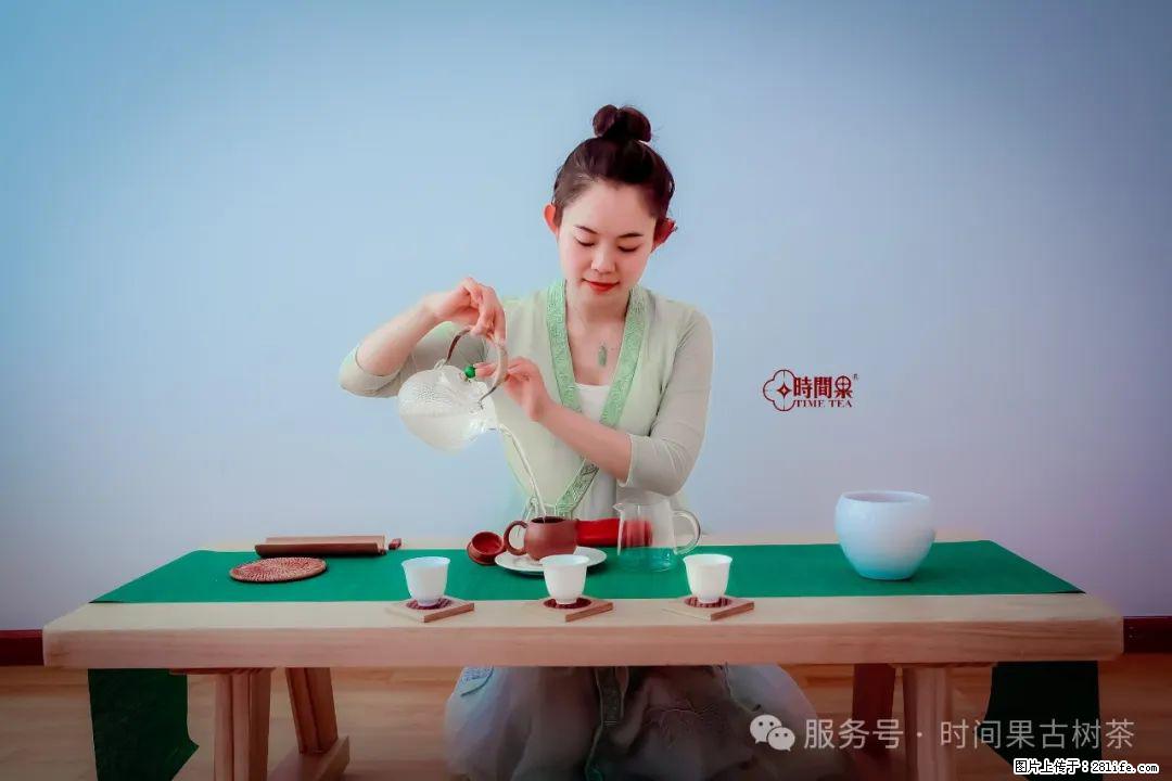 时间果百年古树龙珠普洱生茶 - 购物交流 - 白银生活社区 - 白银28生活网 by.28life.net