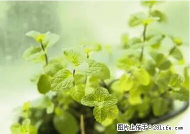 晕车、脚气、牙齿变黄、皮肤粗糙？学会这些三分钟搞定！ - 白银生活资讯 - 白银28生活网 by.28life.net