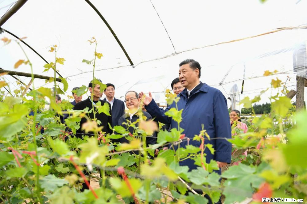 习近平赴广西考察调研 - 白银生活资讯 - 白银28生活网 by.28life.net
