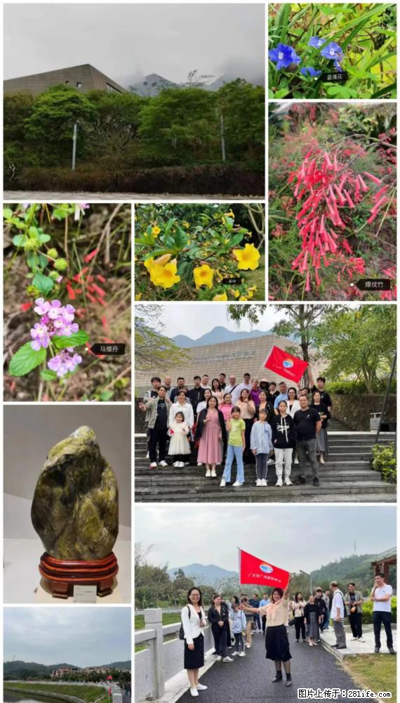 “粤灌文化 美好生活”油茶文化主题活动在广东深圳成功举办 - 白银生活资讯 - 白银28生活网 by.28life.net