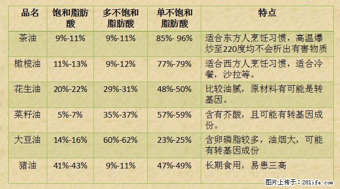 揭秘茶油的5大核心营养成分！被称为人体健康的“守护盾”！ - 白银生活资讯 - 白银28生活网 by.28life.net