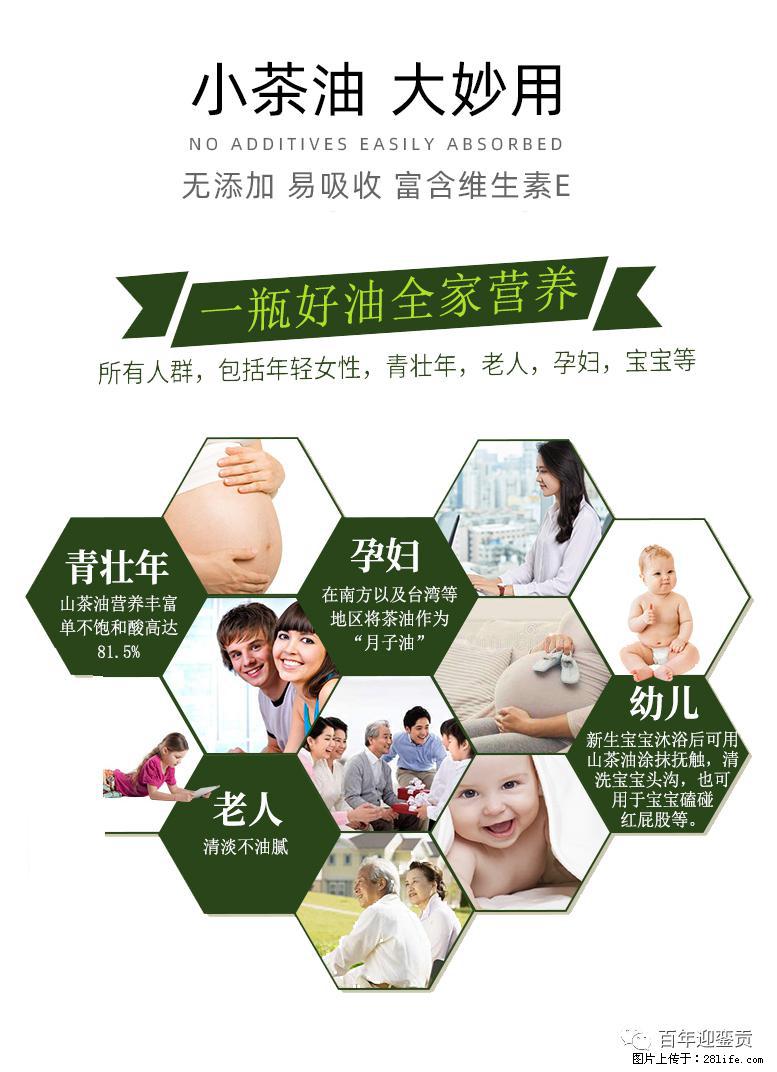 世界没有真相，只有认知，最好的食用油是中国的山茶油！ - 白银生活资讯 - 白银28生活网 by.28life.net