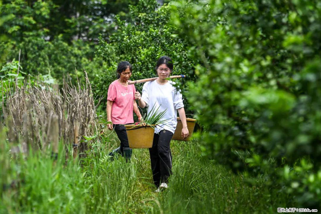 全网追的“扁担女孩”，找了一份暑假工，时薪12元 - 白银生活资讯 - 白银28生活网 by.28life.net