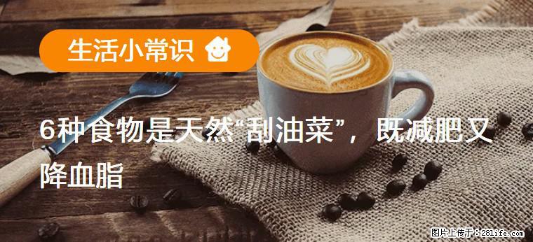【生活小常识】6种食物是天然“刮油菜”，既减肥又降血脂 - 白银生活资讯 - 白银28生活网 by.28life.net
