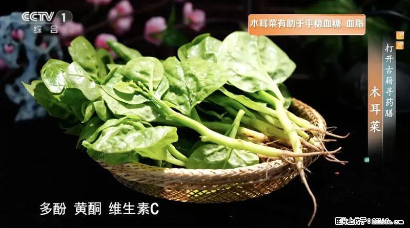 比牛奶补钙还厉害！凉血解毒、稳血糖...这菜冬天必吃，很多人却当草 - 白银生活资讯 - 白银28生活网 by.28life.net