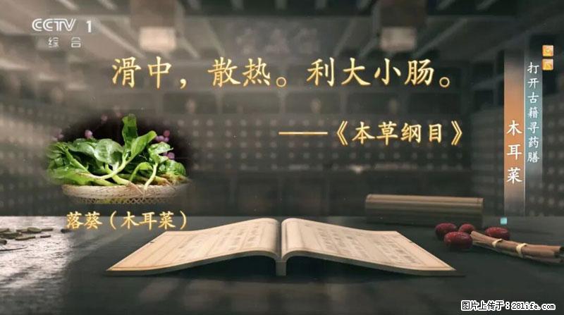 比牛奶补钙还厉害！凉血解毒、稳血糖...这菜冬天必吃，很多人却当草 - 白银生活资讯 - 白银28生活网 by.28life.net