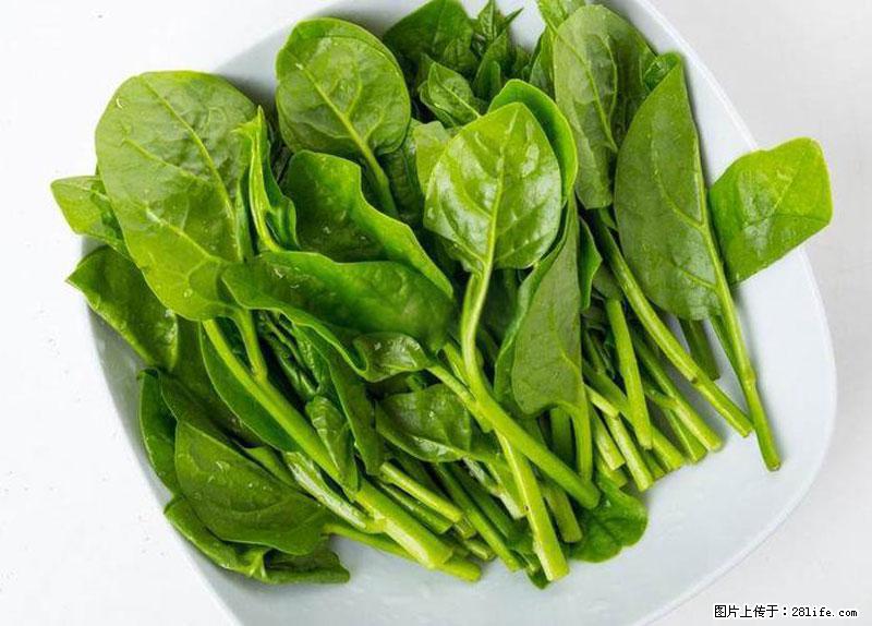 这些蔬菜是“天然钙片”，这6种被医生重点推荐 - 白银生活资讯 - 白银28生活网 by.28life.net