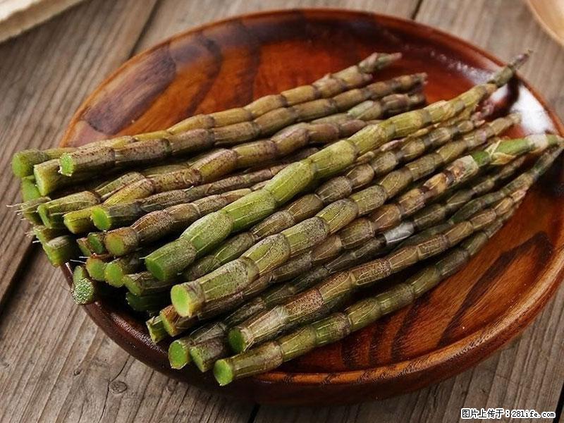 铁皮石斛的作用与功能主治 - 白银生活资讯 - 白银28生活网 by.28life.net