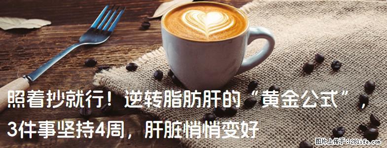 照着抄就行！逆转脂肪肝的“黄金公式”，3件事坚持4周，肝脏悄悄变好 - 白银生活资讯 - 白银28生活网 by.28life.net